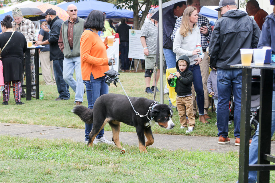 Oyster & Shrimp Festival 2019-9007.JPG